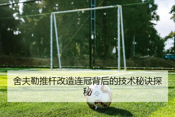 舍夫勒推杆改造连冠背后的技术秘诀探秘